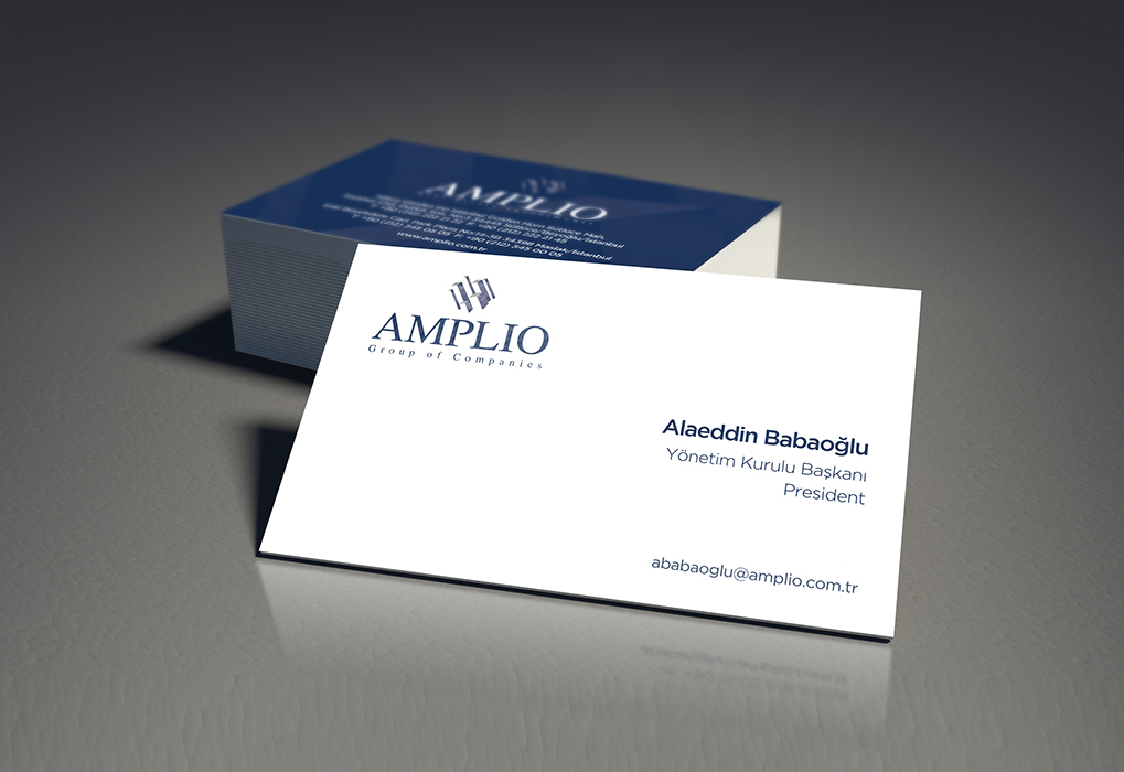 AMPLIO GROUP OF COMPANIES 